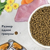 Сухой Корм Brit Care Cat Kitten Healthy Growth для котят и беременных кошек и кормящих матерей с индейкой для здорового роста