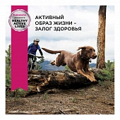 Eukanuba Senior Large Breed 7+ years корм сухой для пожилых собак крупных и очень крупных пород старше 7 лет