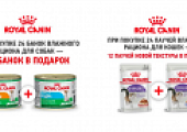 И вновь Royal Canin радует владельцев кошек и собак новыми и выгодными акциями!