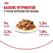 Корм для стерилизованных взрослых кошек Royal Canin Sterilised Корм консервированный , соус Корм для стерилизованных взрослых кошек Royal Canin Sterilised Корм консервированный , соус