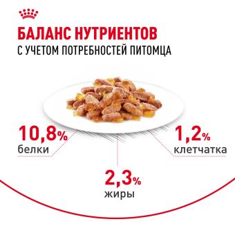 Паучи Royal Canin Light Weight Care для взрослых кошек для контроля набора веса мелкие кусочки в желе