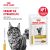 Паучи Royal Canin Urinary S/O для кошек при мочекаменной болезни Паучи Royal Canin Urinary S/O для кошек при мочекаменной болезни