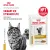 Паучи Royal Canin Urinary S/O для кошек при мочекаменной болезни