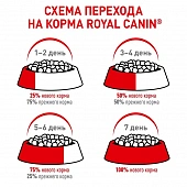 Паучи Royal Canin Kitten для котят в возрасте до 12 месяцев в соусе Мультипак!