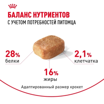 Корм для собак Royal Canin Chihuahua Adult сухой для взрослых собак породы Чихуахуа от 8 месяцев