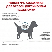 Royal Canin Hypoallergenic Small Dog Canine корм сухой диетический для взрослых собак при пищевой аллергии