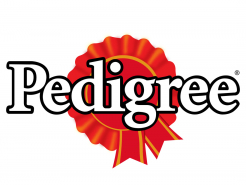 Скидка 15% на корма для собак марки Pedigree!