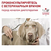 Royal Canin Neutered Adult Small Dog корм сухой для взрослых стерилизованных/кастрированных собак мелких пород