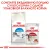 Royal Canin Indoor 27 корм сухой сбалансированный для взрослых кошек, живущих в помещении Royal Canin Indoor 27 корм сухой сбалансированный для взрослых кошек, живущих в помещении