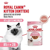 Консервированный корм для котят Royal Canin Kitten в возрасте до 12 месяцев в соусе Консервированный корм для котят Royal Canin Kitten в возрасте до 12 месяцев в соусе