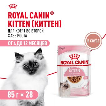 Консервированный корм для котят Royal Canin Kitten в возрасте до 12 месяцев в соусе