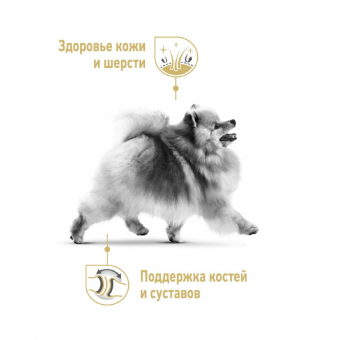 Royal Canin Pomeranian Adult корм сухой для взрослых собак породы Померанский Шпиц