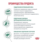 Сухой Корм Royal Canin Satiety Weight Management SAT34 для кошек при избыточном весе