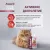 Паучи Award Special Care Active longevity "мясное пюре" для пожилых кошек для активного долголетия из курицы с говядиной Паучи Award Special Care Active longevity "мясное пюре" для пожилых кошек для активного долголетия из курицы с говядиной