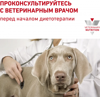 Корм Royal Canin Urinary S/O Small Dog USD 20 для собак малых пород при МКБ и заболеваниях МВС