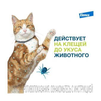 Водостойкий ошейник Форесто для кошек от клещей, блох и вшей