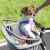 Переноска Ferplast Atlas Bike Rapid для мелких собак для крепления на велосипед