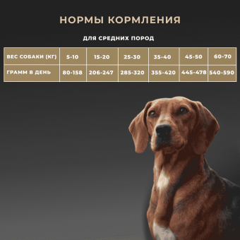 Корм Premier Dog Lamb&Turkey Adult Medium для собак средних пород со свежим мясом ягненка и индейкой