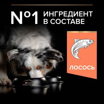 Сухой корм PRO PLAN® для взрослых собак средних пород с чувствительной кожей, с высоким содержанием лосося