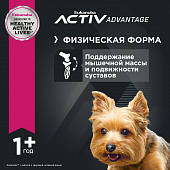 Eukanuba Adult Toy Breed 1+ years корм сухой для взрослых собак миниатюрных пород от года и старше