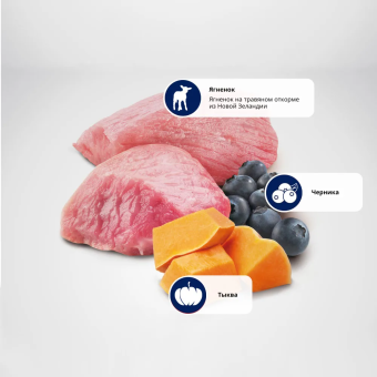 Корм Farmina N&D Adult Grain Free Neutered беззерновой для стерилизованных кошек с ягнёнком, черникой и тыквой