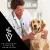 Сухой корм для щенков и взрослых собак PRO PLAN® VETERINARY DIETS EN Gastrointestinal при расстройствах пищеварения Сухой корм для щенков и взрослых собак PRO PLAN® VETERINARY DIETS EN Gastrointestinal при расстройствах пищеварения