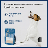Сухой Корм Blue Native Holistic Beef для взрослых собак средних и крупных пород с говядиной Сухой Корм Blue Native Holistic Beef для взрослых собак средних и крупных пород с говядиной