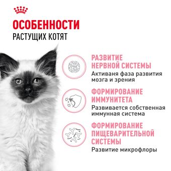 Royal Canin Kitten корм сухой сбалансированный для котят в период второй фазы роста до 12 месяцев