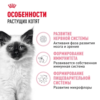 Royal Canin Kitten корм сухой сбалансированный для котят в период второй фазы роста до 12 месяцев
