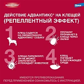 Капли на холку Адвантикс от блох, клещей и комаров для собак весом от 4 до 10 кг