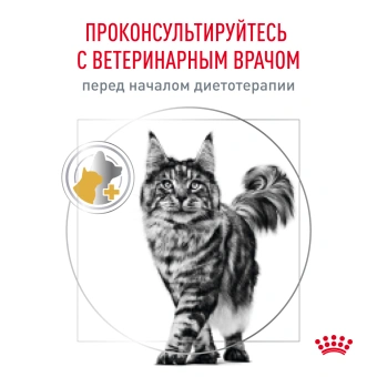 Royal Canin URINARY S/O (УРИНАРИ С/О) для кошек, способствующий растворению струвитных мочевых камней