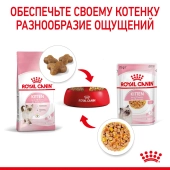 Паучи Royal Canin Kitten Instinctive (в желе) для котят с 4 до 12  месяцев