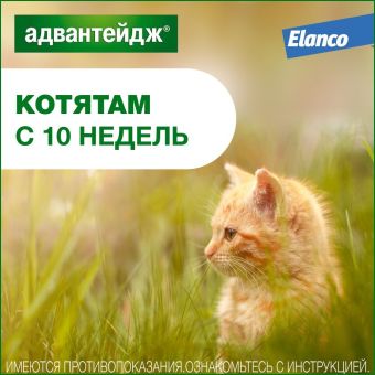 Капли на холку Адвантейдж от блох для кошек от 4 кг