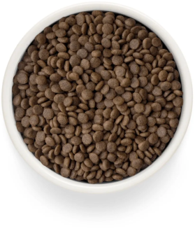 Корм Grandorf Fresh Cat Lamb Sterilised свежее мясо ягненка с бататом для стерелизованных кошек