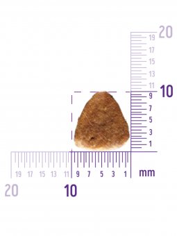 Корм Wellness Core для взрослых собак средних и крупных пород из индейки со сниженным содержанием жира