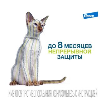 Водостойкий ошейник Форесто для кошек от клещей, блох и вшей