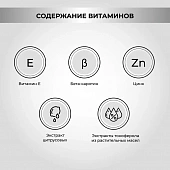 Натуральная добавка для кошек и собак Масло Salmoil Рецепт №1 для здоровья почек