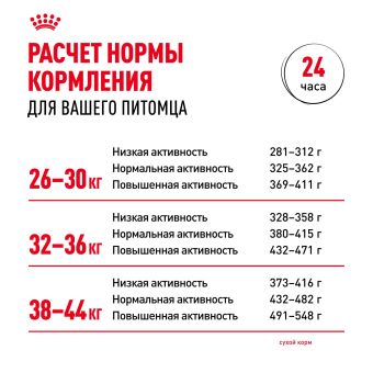 Корм сухой Royal Canin Maxi Adult для взрослых собак крупных размеров