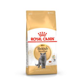 Корм сухой сбалансированный Royal Canin British Shorthair Adult для взрослых британских короткошерстных кошек