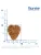 Корм Monge Cat Daily Line Indoor для домашних кошек из курицы Корм Monge Cat Daily Line Indoor для домашних кошек из курицы