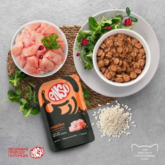 Паучи Enso Basic полнорационный корм для взрослых кошек кусочки в соусе с индейкой