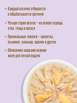 Паучи Деревенские Лакомства для кошек тунец с лососем в нежном желе