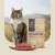 Корм Savita Sterilised Adult Skin&Coat Care для стерилизованных кошек с ягнёнком и бурым рисом Корм Savita Sterilised Adult Skin&Coat Care для стерилизованных кошек с ягнёнком и бурым рисом
