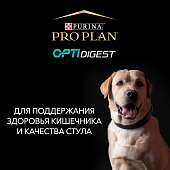 Сухой Корм Pro Plan Optidigest Robust для взрослых собак крупных пород мощного телослож. ягненок ПРОМОПАК Сухой Корм Pro Plan Optidigest Robust для взрослых собак крупных пород мощного телослож. ягненок ПРОМОПАК