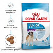 Сухой Корм Royal Canin Giant Junior для щенков гигантских пород, с 8 месяцев
