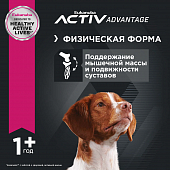 Eukanuba Adult Medium Breed 1+ years корм сухой для взрослых собак средних пород от года и старше