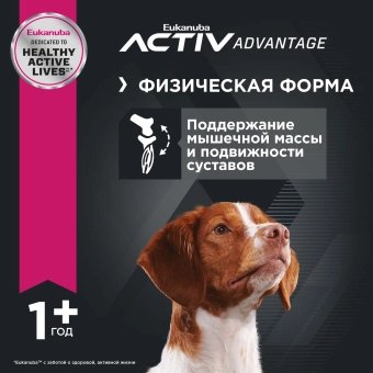 Eukanuba Adult Medium Breed 1+ years корм сухой для взрослых собак средних пород от года и старше
