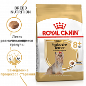 Royal Canin Yorkshire Terrier 8+ корм сухой для стареющих собак породы Йоркширский Терьер от 8 лет