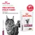Паучи Royal Canin Renal для кошек для поддержания функции почек с рыбой в соусе Паучи Royal Canin Renal для кошек для поддержания функции почек с рыбой в соусе