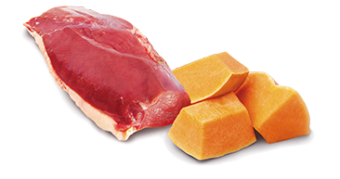 Консервы Farmina N&D Dog Duck&Pumpkin Adult Mini для собак мелких пород с уткой и тыквой